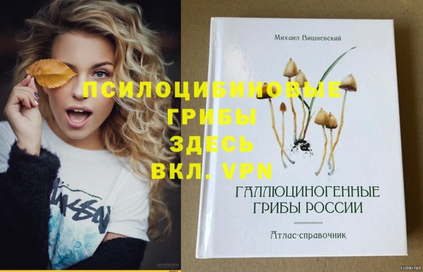 спиды Вязьма