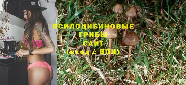 mdpv Вяземский