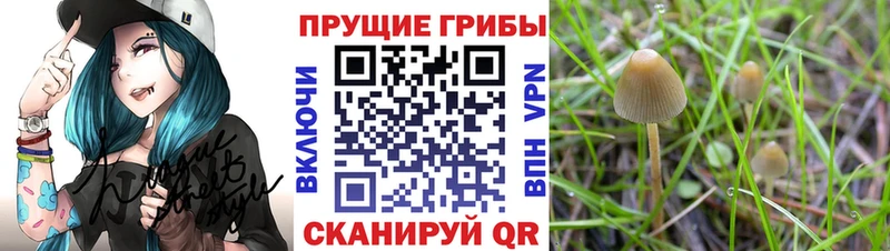 Псилоцибиновые грибы MAGIC MUSHROOMS  Кубинка 